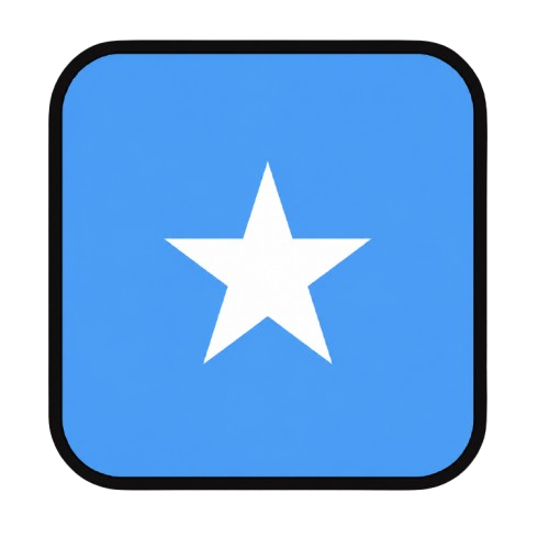 Telegram | 已启用2FA。TDATA + JSON Session。年龄：180+ 天。注册国家：+252（索馬利亞）。